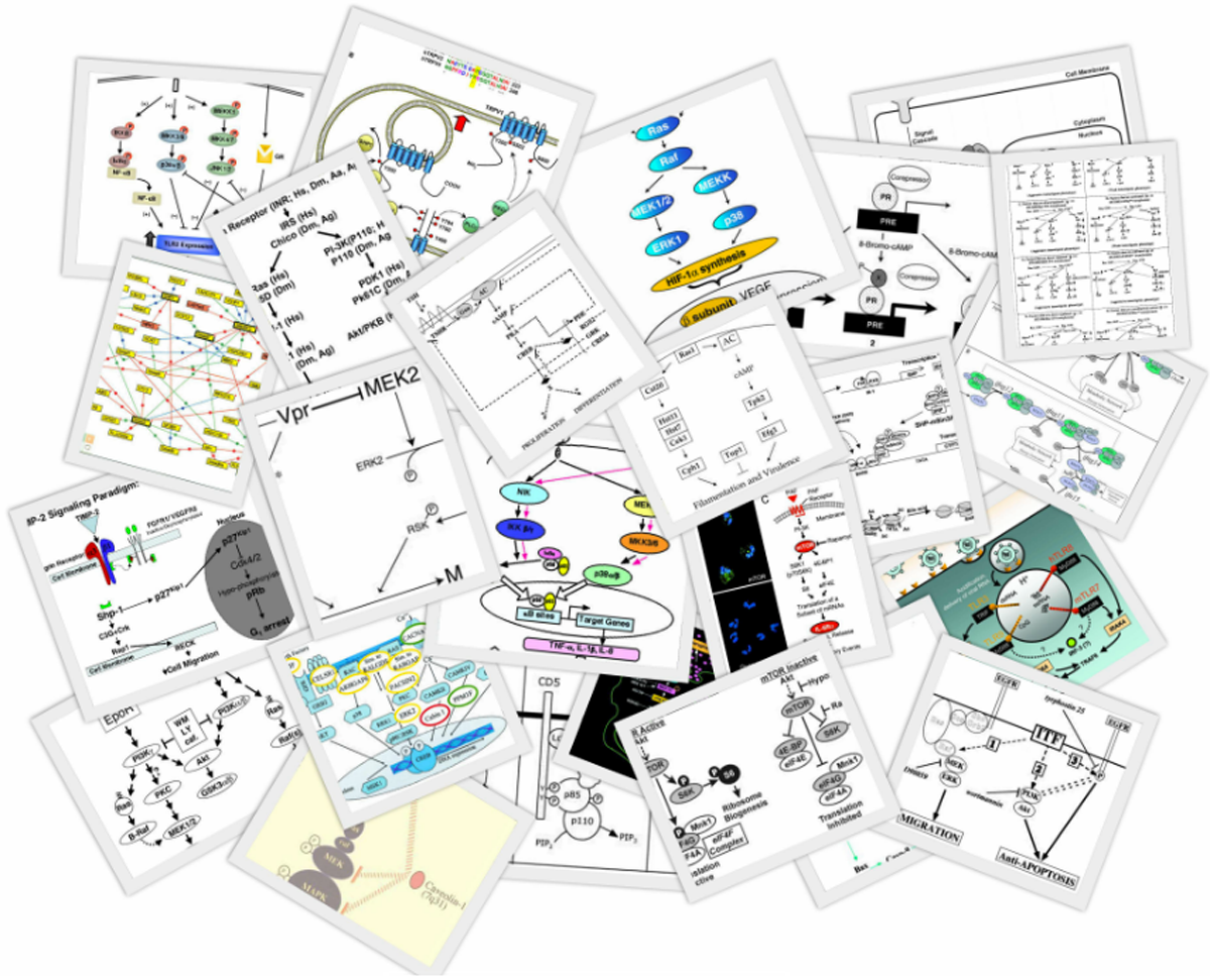 Pile of Pathways