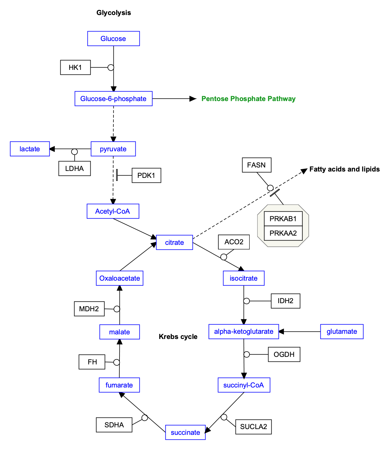 met 1 overview